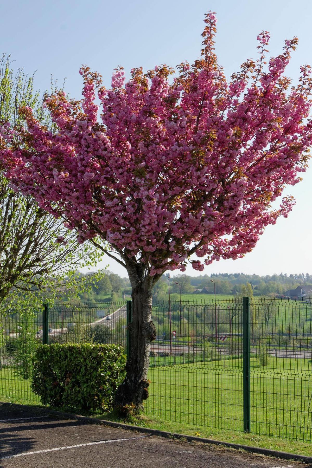 Fasthotel Le Mans Nord Fh Confort Saint-Saturnin  Buitenkant foto